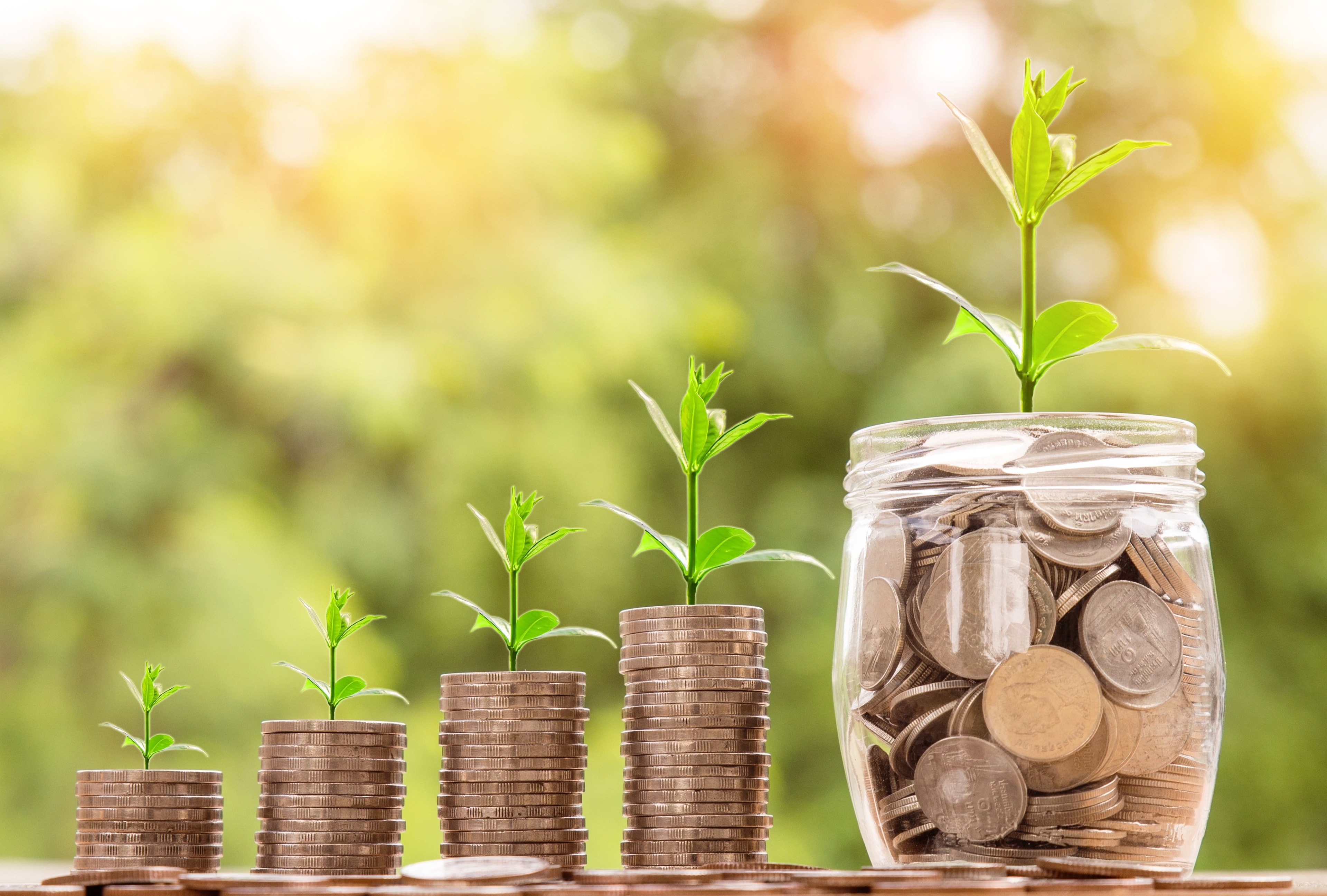 Grant and Funding Applications